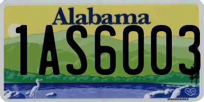 AL license plate 1AS6003