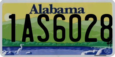 AL license plate 1AS6028