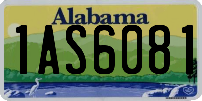 AL license plate 1AS6081