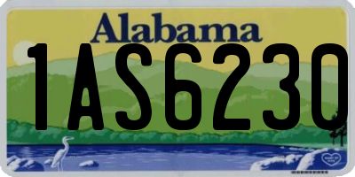 AL license plate 1AS6230