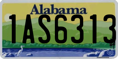 AL license plate 1AS6313