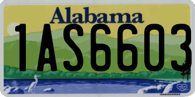 AL license plate 1AS6603