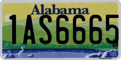 AL license plate 1AS6665