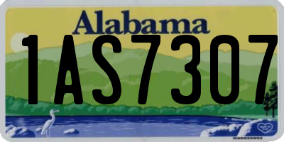 AL license plate 1AS7307