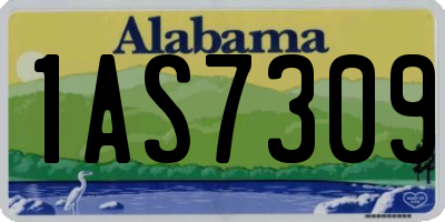 AL license plate 1AS7309