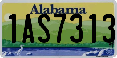 AL license plate 1AS7313