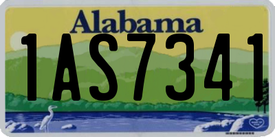 AL license plate 1AS7341