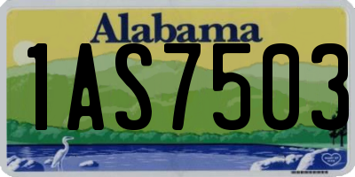 AL license plate 1AS7503