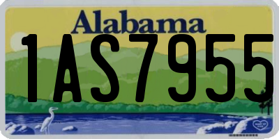 AL license plate 1AS7955