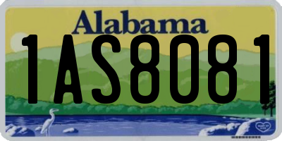 AL license plate 1AS8081
