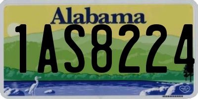 AL license plate 1AS8224