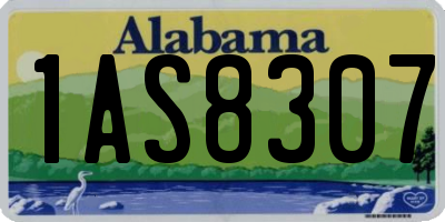AL license plate 1AS8307
