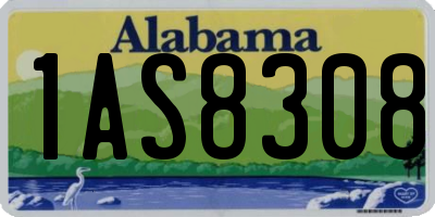 AL license plate 1AS8308