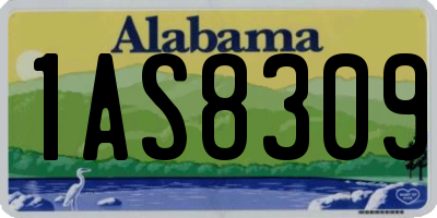 AL license plate 1AS8309