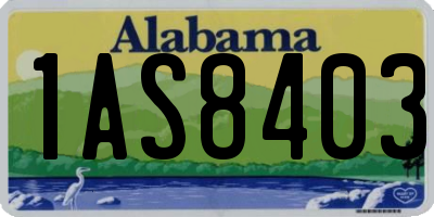 AL license plate 1AS8403