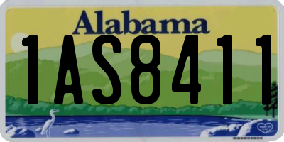 AL license plate 1AS8411