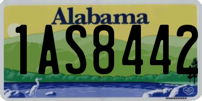 AL license plate 1AS8442