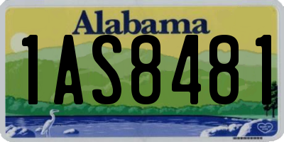 AL license plate 1AS8481