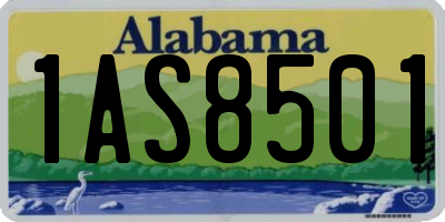 AL license plate 1AS8501