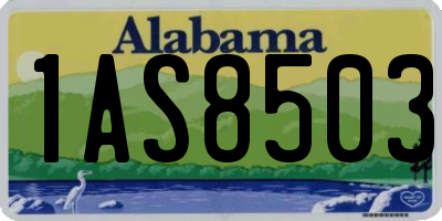 AL license plate 1AS8503