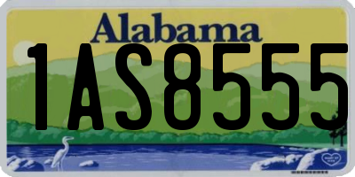 AL license plate 1AS8555