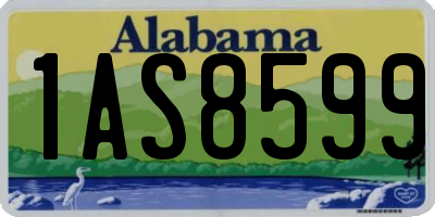 AL license plate 1AS8599