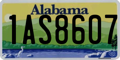 AL license plate 1AS8607