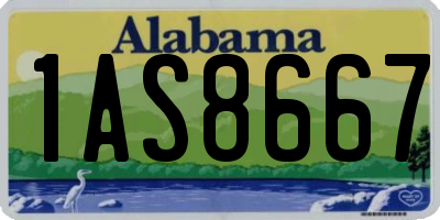 AL license plate 1AS8667