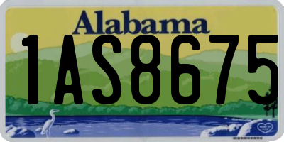 AL license plate 1AS8675
