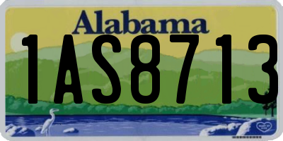 AL license plate 1AS8713