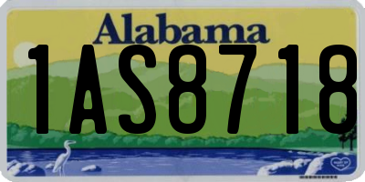 AL license plate 1AS8718