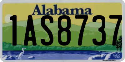 AL license plate 1AS8737