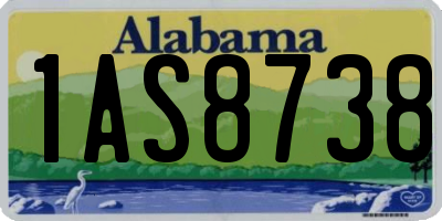 AL license plate 1AS8738