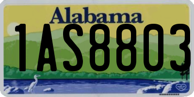 AL license plate 1AS8803