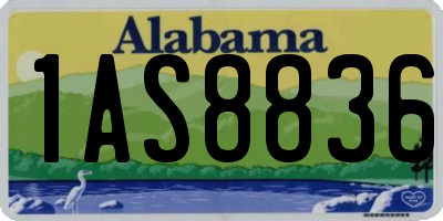 AL license plate 1AS8836
