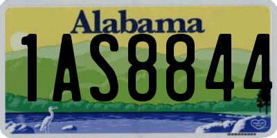 AL license plate 1AS8844