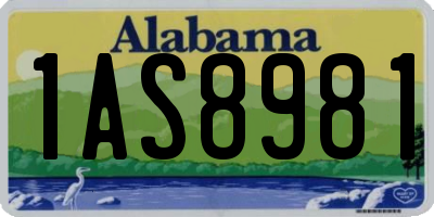 AL license plate 1AS8981