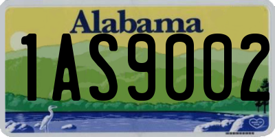 AL license plate 1AS9002
