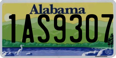 AL license plate 1AS9307