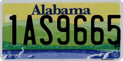 AL license plate 1AS9665