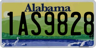 AL license plate 1AS9828