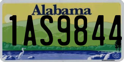 AL license plate 1AS9844