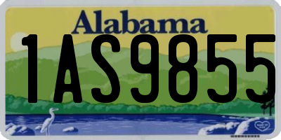 AL license plate 1AS9855