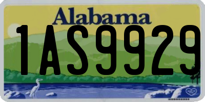 AL license plate 1AS9929