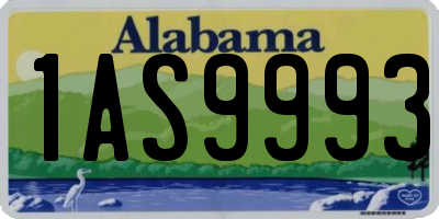 AL license plate 1AS9993