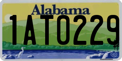 AL license plate 1AT0229