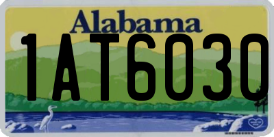 AL license plate 1AT6030