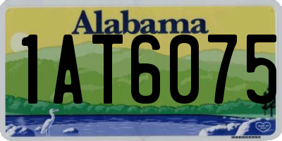 AL license plate 1AT6075