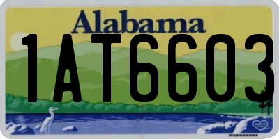 AL license plate 1AT6603