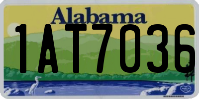 AL license plate 1AT7036
